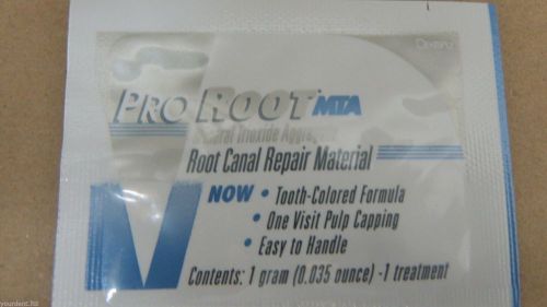 Dentsply ProRoot MTA (1 Gm Pack)