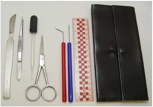 Student dissection kit - 7 pieces with case includes scissors, scapel, etc. for sale