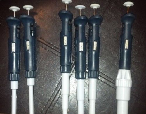 Gilson Pipette Pipetman Pipet-Plus Lot of SIX!