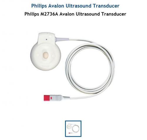 Philips M2736A Avalon Ultrasound Transducer / Philips Medical Products