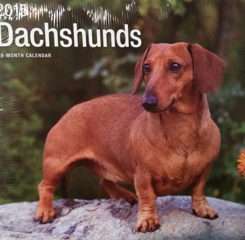 18-Month 2015 DACHSHUNDS 12x12 Wall Calendar NEW &amp; SEALED Animals Dogs Puppies