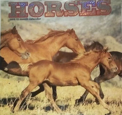 2015 12x12 HORSES Wall Calendar NEW SEALED Outdoor Nature Animals Pony