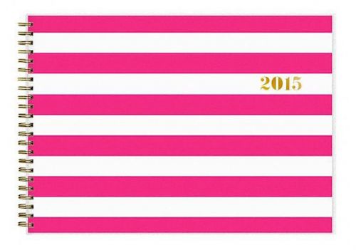 NEW Sugar Paper 2015 Pink Cabana Stripe Horizontal Organizer Planner Gold Target
