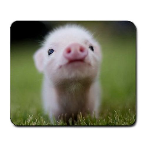 Cute Pig Large Mousepad Free Shipping