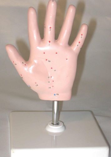 Human Acupuncture hand,No stand!