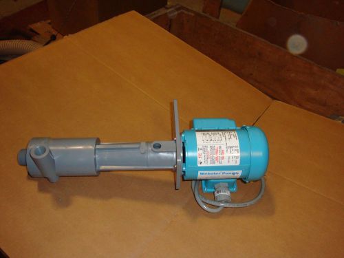 Hayward-Webster Pump  #1D1GX0008  Vertical -seal-less PVC 1/8hp