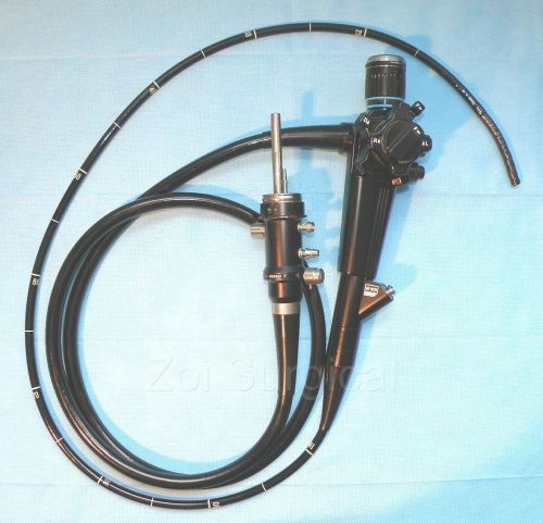 OLYMPUS GIF XP20 fiber optic Gastroscope for Canine or Equine use