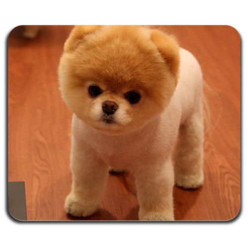 Cute Pomeranian Dog Puppy Little Home Pet Cool Computer Mouse Pad Washable Mat