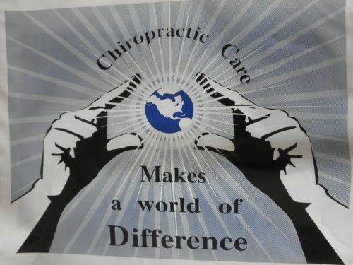 138 CHIROPRACTIC SUPPLY BAGS &#034;World of Difference&#034; - White Plastic 9 x 13&#034; - NEW