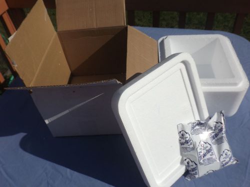 Styrofoam insulated shipping container cooler 9 x 11 x 7 with ice pack vguc! for sale