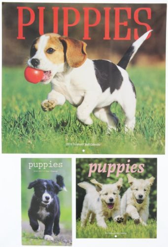 2016 PUPPIES Calendar Lot NEW - Full Wall, Planner &amp; Mini Desk Calendar - Dogs