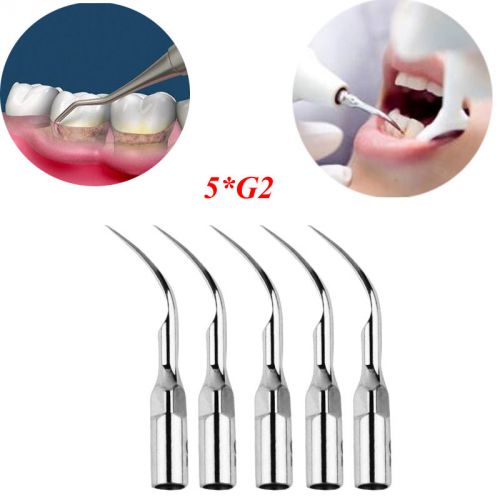 5*G2 Dental Piezon Ultrasonic Scaler Endo File Holder Tips Scaling Fit For EMS