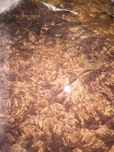 Wood Veneer Walnut Burl 10x33 1 Pc 10Mil Paper Backed &#034;EXOTIC&#034; WB 2.5