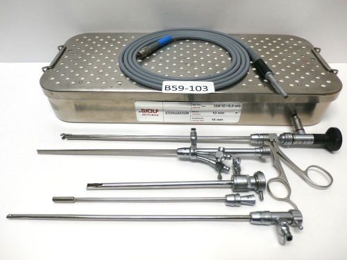 R.WOLF 8989.33 HYSTEROSCOPY 4mm 25° Set W- Diagnostic Sheath &amp; Fiber Optic cable