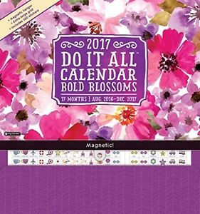 Orange Circle Studio 17-Month 2017 Do It All Magnetic Wall Calendar, Bold