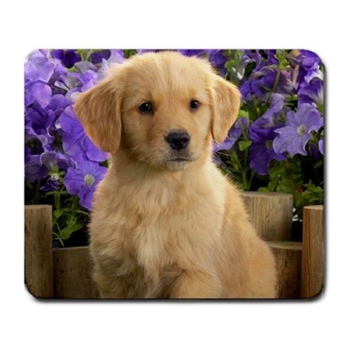 Cute Golden Retriever Puppy Puppies Dogs Pets Animal Large Mousepad Mouse Pad