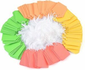 Brothersbox Marking Strung Tags, Colored Paper Tags, Assorted neon Tags with
