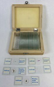 Amscope Microscope 25 Slides Animal &amp; Plants w/Wooden Box Homeschooling Biology