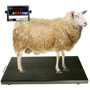 PEC Scales  700lbs Vet Animal Scale/Farm Livestock Scale, 44 x 22 for Small to