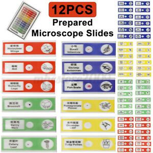 12PCS Prepared Microscope Slides Set Mixed Specimen With Graphic Label Kids Gift