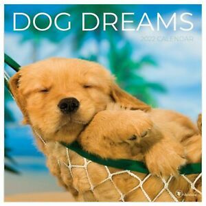 TF Publishing Dog Dreams 2022 Wall Calendar w