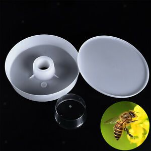 1PCS Bee Water Feeder  Top Drinking Bowl for Bees Making Sugar Syrup