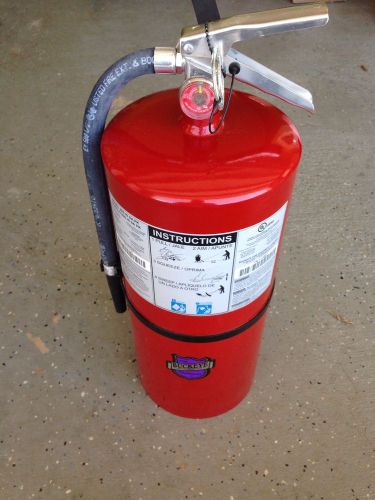 Buckeye 20# purple k dry chemical b:c fire extinguisher for sale