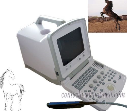 Software veterinary ce hot popular portable ultrasound scanner with rectal probe for sale