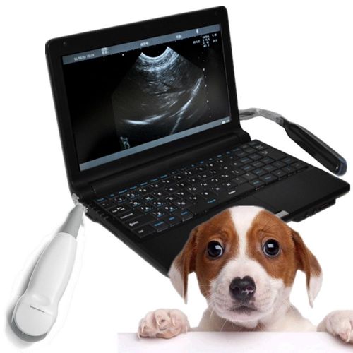 Full Digital Laptop Vet Ultrasound Scanner +Micro convex probe + external 3D FDA