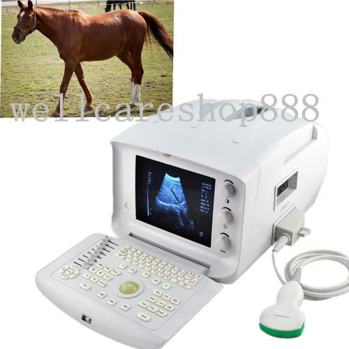 Fda portable veterianry ultrasound scanner machine convex probe free 3d software for sale