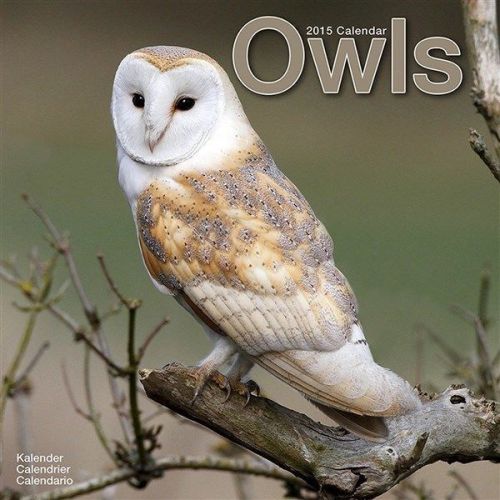 NEW 2015 Owls Wall Calendar by Avonside- Free Priority Shipping!