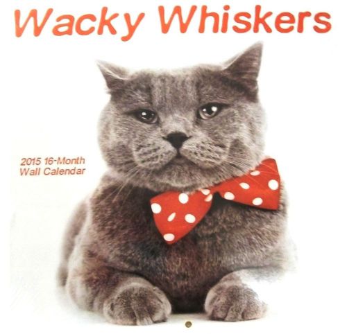 Vista 2015 WACKY WHISKERS 12x11 16-Month Wall Calendar FREE SHIPPING