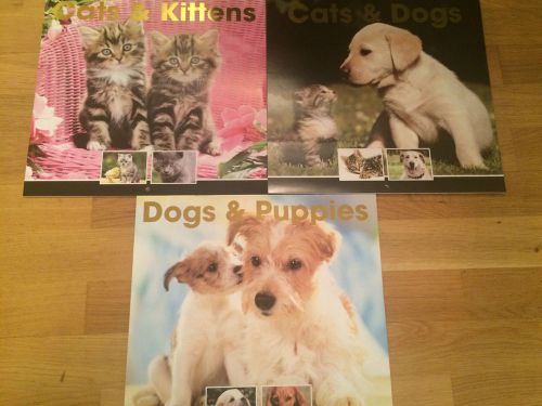 2015 Pets Calendar Cats Dogs Kittens puppies cat dog puppy new cute