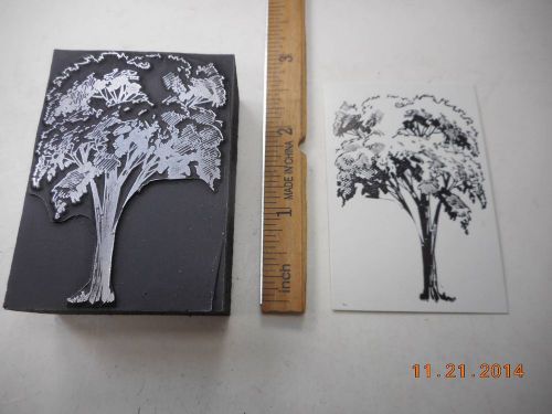 Letterpress Printing Printers Block, Tall Stately Tree