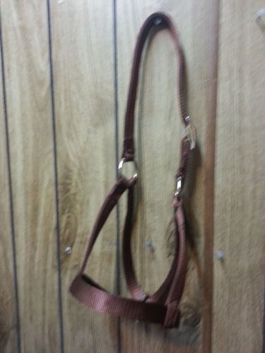 Yearling Cow Halter Double Ply USA Made Choice of Color