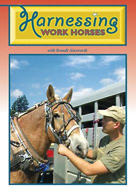 DVD Harnessing Work Horses By: Brandt Ainsworth