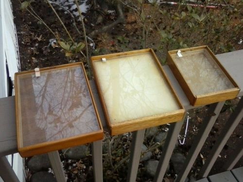 Lot of 3 Oak glass display cases