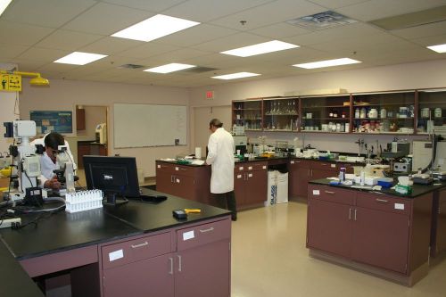 Misc. St. Charles Laboratory Cabinets w/ Epoxy Resin Chem. Resistant Tops LOT