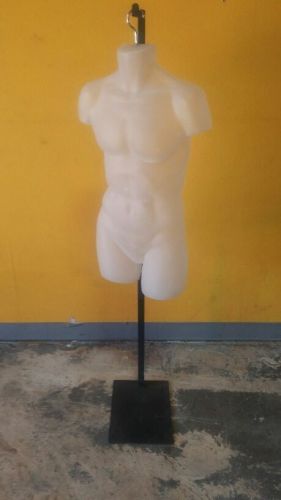 1 Male Torso Mannequin