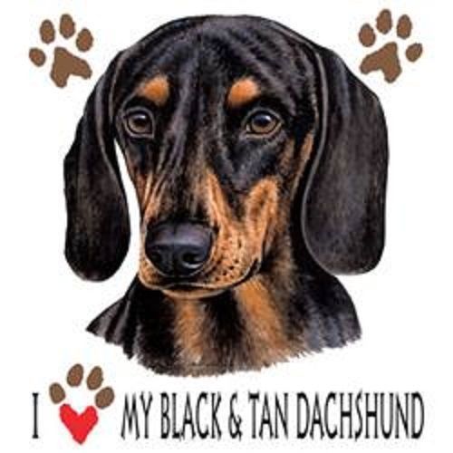Love My Black Tan  Dachshund Dog HEAT PRESS TRANSFER for T Shirt Sweatshirt 835j