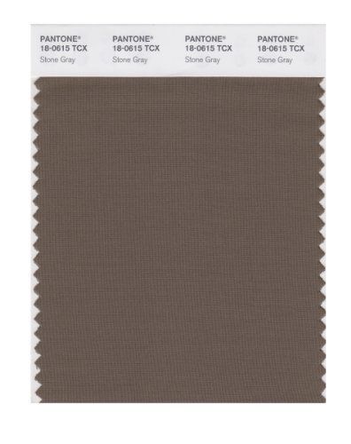 PANTONE SMART 18-0615X Color Swatch Card, Stone Gray