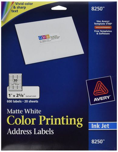 Avery Address Labels For Ink Jet Printers  8250 (20 Sheets)