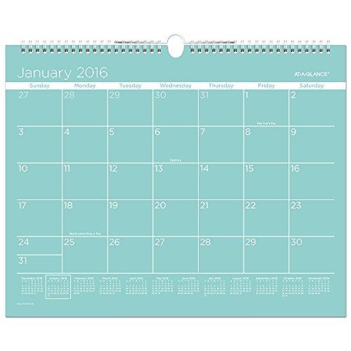 At-A-Glance AT-A-GLANCE Monthly Wall Calendar 2016, 15 x 12 Inches, Color Play,