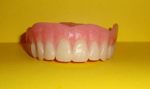Real Dentures False Teeth uppers Student Dental Learning Study Prop HALLOWEEN #2