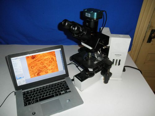 Olympus BX40 Trinocular Microscope