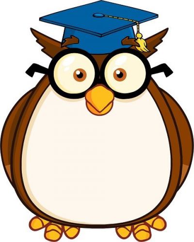 30 Custom Grad Owl Personalized Address Labels