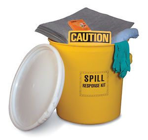 General purpose spill kit - 20 gallon lab pack (1 bag) for sale