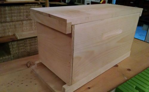 Nuc Deep five frame Beehive without frames