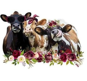 Crazy Cows Sublimation Transfer Ready to Press