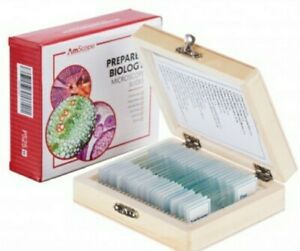 25pc Prepared Glass Microscope Slides in Wood Case with Plant, Fungus, Insect...